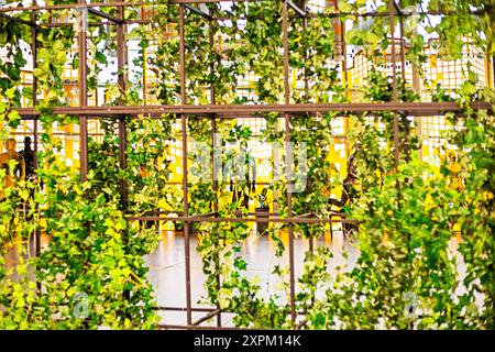 Elementi decorativi vegetali negli interni, tendenze degli interni Foto Stock