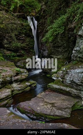 Adams Falls si trova sul Litchen Creek nel Ricket's Glen State Park, nella contea di Luzwere, Pennsylvania Foto Stock