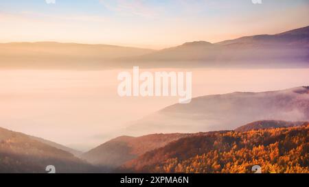 foresta di abeti rossi sulle colline di montagna in nebbia all'alba. paesaggio autunnale dell'ucraina Foto Stock