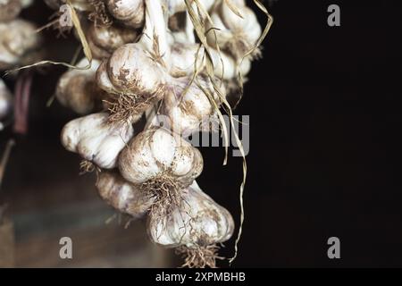 un filo d'aglio è appeso in un capannone per curarlo Foto Stock