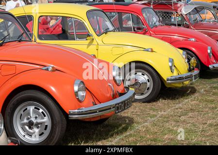Fila di coleotteri Volkswagen ad un festival VW Dub a Portsmouth. Agosto 2024. Foto Stock