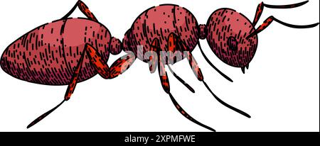 queen formica disegnare vettore disegnato a mano Illustrazione Vettoriale