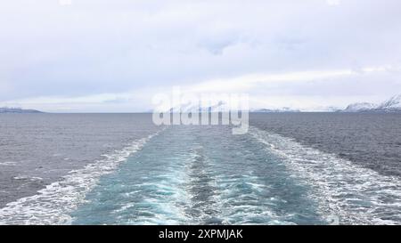 La vista presa da una nave mentre si avvicina a Tromso. Tromso è una città sull'isola di Tromsoya, nella Norvegia settentrionale. Foto Stock