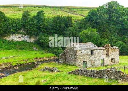 Immergiti in estate tra prati verdi lussureggianti, fienile in pietra o casetta delle mucche in rovina, pareti a secco, alte colline e il fiume Swale. Yorkshire, D Foto Stock