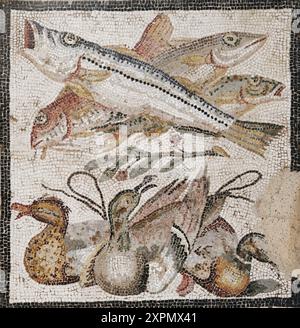 Mosaico romano - dalla Casa del Granduca di Toscana (IX, 2, 27), Pompei pesce e anatre Foto Stock