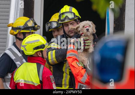 Krov, Germania. 7 agosto 2024,07 agosto 2024, Renania-Palatinato, Kröv: Vigili del fuoco salvano un cane dalle macerie. Secondo la polizia, un piano di un hotel nel comune di Traben-Trarbach è crollato intorno alle 23.00. Foto: Harald Tittel/dpa Credit: dpa Picture Alliance/Alamy Live News Foto Stock