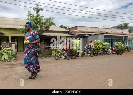 Trasporto banana, MTO Wa MBU, il fiume della zanzara, villaggio, Arusha, Manyara, Tanzania Foto Stock