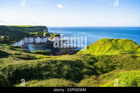 Scogliere sul Flamborough Seawatch Observatory, Flamborough, Yorkshire, Inghilterra Foto Stock