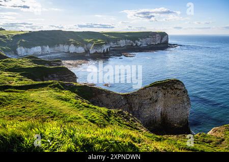 Scogliere sul Flamborough Seawatch Observatory, Flamborough, Yorkshire, Inghilterra Foto Stock