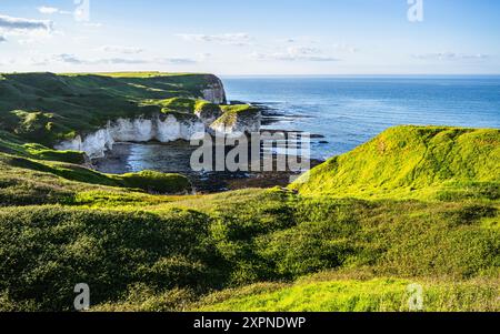 Scogliere sul Flamborough Seawatch Observatory, Flamborough, Yorkshire, Inghilterra Foto Stock