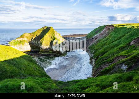 Scogliere sul Flamborough Seawatch Observatory, Flamborough, Yorkshire, Inghilterra Foto Stock