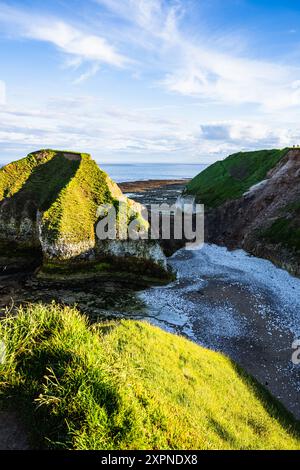 Scogliere sul Flamborough Seawatch Observatory, Flamborough, Yorkshire, Inghilterra Foto Stock