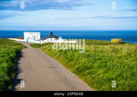 Scogliere sul Flamborough Seawatch Observatory, Flamborough, Yorkshire, Inghilterra Foto Stock