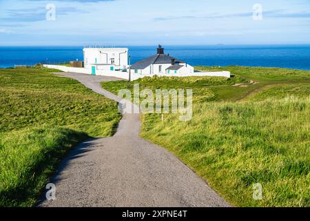 Scogliere sul Flamborough Seawatch Observatory, Flamborough, Yorkshire, Inghilterra Foto Stock