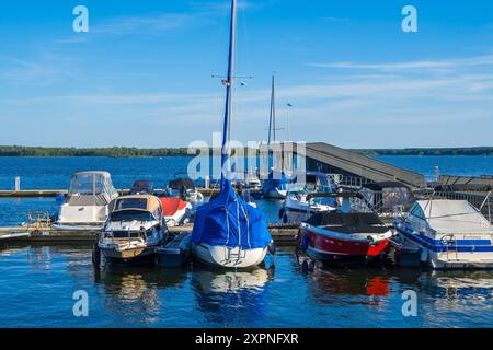 Sommer am Senftenberger SEE DEU/Deutschland/Brandenburg/Senftenberg, 06.08.2024, Sommer am Senftenberger SEE im Lausitzer Seenland, Stadthafen Senftenberg. *** Estate al Lago Senftenberg DEU Germania Brandeburgo Senftenberg, 06 08 2024, Estate al Lago Senftenberg nella Lusazia, porto della città di Senftenberg AF Grossraeschen 88172.jpeg Foto Stock