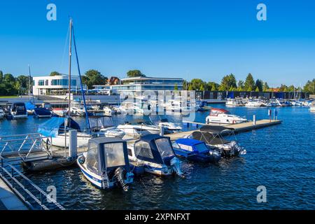 Sommer am Senftenberger SEE DEU/Deutschland/Brandenburg/Senftenberg, 06.08.2024, Sommer am Senftenberger SEE im Lausitzer Seenland, Stadthafen Senftenberg. *** Estate al Lago Senftenberg DEU Germania Brandeburgo Senftenberg, 06 08 2024, Estate al Lago Senftenberg nella Lusazia, porto della città di Senftenberg AF Grossraeschen 88176.jpeg Foto Stock