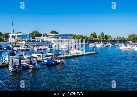 Sommer am Senftenberger SEE DEU/Deutschland/Brandenburg/Senftenberg, 06.08.2024, Sommer am Senftenberger SEE im Lausitzer Seenland, Stadthafen Senftenberg. *** Estate al Lago Senftenberg DEU Germania Brandeburgo Senftenberg, 06 08 2024, Estate al Lago Senftenberg nella Lusazia, porto della città di Senftenberg AF Grossraeschen 88183.jpeg Foto Stock