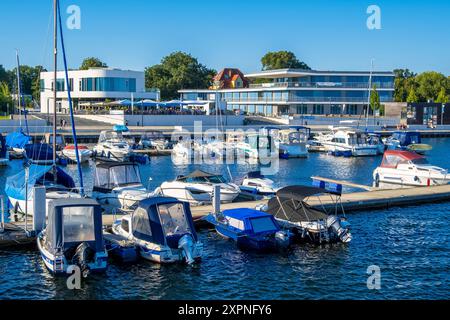 Sommer am Senftenberger SEE DEU/Deutschland/Brandenburg/Senftenberg, 06.08.2024, Sommer am Senftenberger SEE im Lausitzer Seenland, Stadthafen Senftenberg. *** Estate al Lago Senftenberg DEU Germania Brandeburgo Senftenberg, 06 08 2024, Estate al Lago Senftenberg nella Lusazia, porto della città di Senftenberg AF Grossraeschen 88182.jpeg Foto Stock