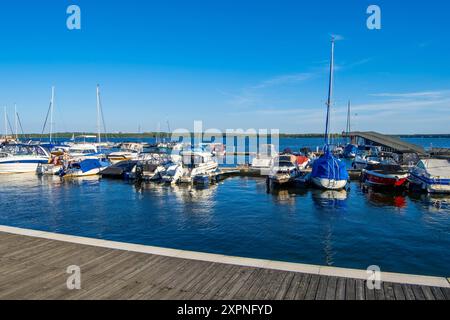 Sommer am Senftenberger SEE DEU/Deutschland/Brandenburg/Senftenberg, 06.08.2024, Sommer am Senftenberger SEE im Lausitzer Seenland, Stadthafen Senftenberg. *** Estate al Lago Senftenberg DEU Germania Brandeburgo Senftenberg, 06 08 2024, Estate al Lago Senftenberg nella Lusazia, porto della città di Senftenberg AF Grossraeschen 88170.jpeg Foto Stock