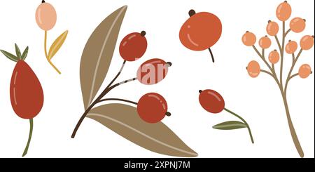 Bacche di forme e colori diversi con rami e foglie. Illustrazione vettoriale in stile piatto. Elementi per il design autunnale per il festival del raccolto Illustrazione Vettoriale