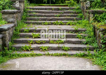 ampi gradini in pietra con erbacce Foto Stock