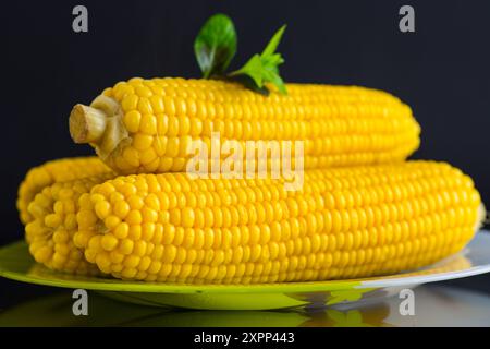 il delizioso mais dolce bollito in un piatto. Foto Stock