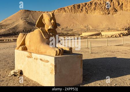 La Sfinge che custodisce il tempio funerario di Hatshepsut a Deir el-Bahari, antica architettura egizia. Il tempio si trova nella necropoli di Tebe Foto Stock