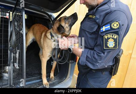 *** RIGOROSAMENTE NESSUNA VENDITA AI MEDIA O AGLI EDITORI FRANCESI - DIRITTI RISERVATI ***25 luglio 2024 - Parigi, Francia: L'agente di polizia svedese Fredrik fa fuori Max, un malinois belga di 3 anni addestrato alla ricerca di esplosivi. Una squadra svedese di rilevamento di esplosivi canini è dispiegata nella zona di Invalides, uno dei siti chiave dei Giochi olimpici, un giorno prima della cerimonia di apertura. Foto Stock