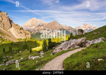 Maestose montagne delle Dolomiti. Erba verde smeraldo. sentiero turistico. Incredibile sfondo naturale. Una popolare destinazione turistica per gli ospiti Foto Stock