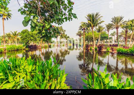 Il lago vicino a Yanbuʿ al-Bahr, noto anche come Yanbu, Yambo, o Yenbo, è un importante porto sul Mar Rosso, con la storica città vecchia, l'Arabia Saudita Foto Stock