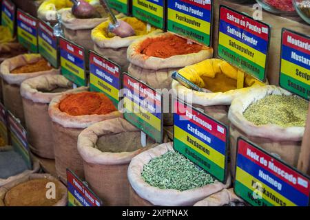 Una colorata esposizione di spezie ed erbe, tra cui cumino, coriandolo e zenzero. Le spezie sono disposte in piccoli sacchi e cesti, e ci sono dei cartelli Foto Stock