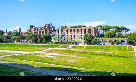 Una vista delle rovine della Domus Severiana sul Palatino dal Circo massimo a Roma, Italia. L'antico palazzo romano è visibile in lontananza, con un'area erbosa in primo piano. Foto Stock