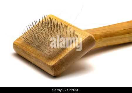 Spazzola in legno con pelliccia rossa per la cura dei cani. Strumento per la cura degli animali isolato su sfondo bianco, vista ravvicinata Foto Stock