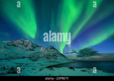 Aurora boreale su Mefjord, Mefjordvaer, Senja, Troms, Norvegia Foto Stock