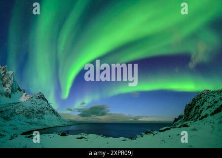 Aurora boreale su Mefjord, Mefjordvaer, Senja, Troms, Norvegia Foto Stock