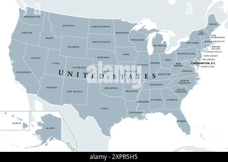 Stati Uniti d'America, mappa politica grigia. Cinquanta singoli stati con i propri territori geografici e confini, legati insieme in un'Unione. Foto Stock