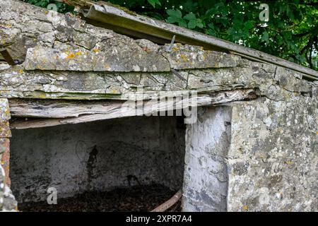 Un capannone in pietra abbandonato e con pareti in decadenza e fogliame sullo sfondo. Foto Stock