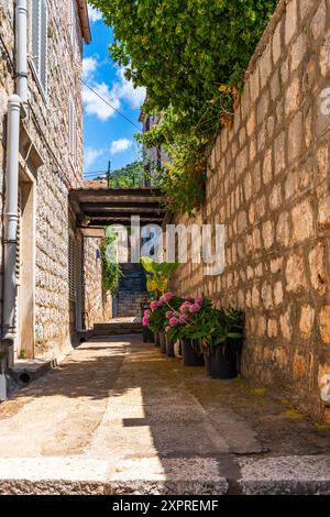 Lopud - una delle isole Elafiti vicino Dubrovnik. Estate in Croazia Foto Stock