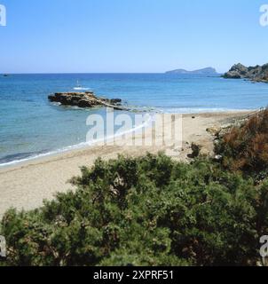 Es Figueral, Ibiza, Isole Baleari, Spagna Foto Stock