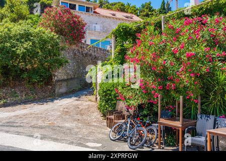 Sipan - una delle isole Elafiti vicino Dubrovnik. Estate in Croazia Foto Stock