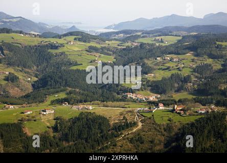 Vicino a Gernika, Biscaglia, Paesi Baschi, Spagna Foto Stock