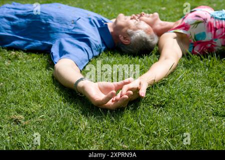 Adulti, adulti, calma, calma, caucasica, caucasici, raffreddamento, raffreddamento, colore, colore, contemporaneo, campagna, campagna, coppia, coppie, giorno Foto Stock