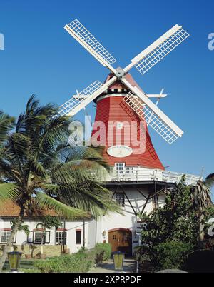 Il Vecchio Mulino a vento olandese, ad Aruba, Antille olandesi Foto Stock