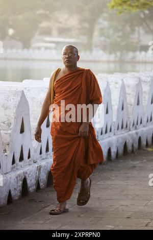 Monaco passeggiate sulle rive del Lago Kandy, Kandy, Sri Lanka Foto Stock