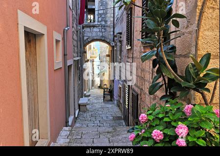 Con volte a botte passaggio in una strada stretta della vecchia città di Korcula, Isola di Korcula, Croazia, Europa sud-orientale. Foto Stock