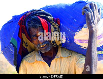 Ritratto di un contadino durante una dura giornata di lavoro in un villaggio rurale. Javadhu Hills, Tamil Nadu. India. Foto Stock