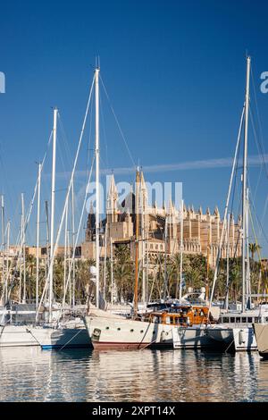 La cattedrale di Palma da Moll de la Riba, Palma di Maiorca, isole Baleari, Spagna, Europa Foto Stock