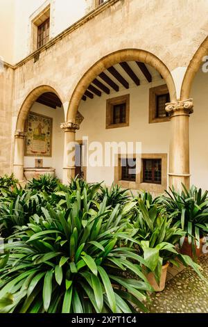 Studio generale Luliano, Maiorca antica Università medievale - Università reale e Pontificia e Letterario Luliana Mallorca, Palma, Maiorca, Baleari Foto Stock