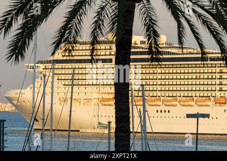 Crucero en el puerto de Palma, Maiorca, Isole Baleari, Spagna Foto Stock