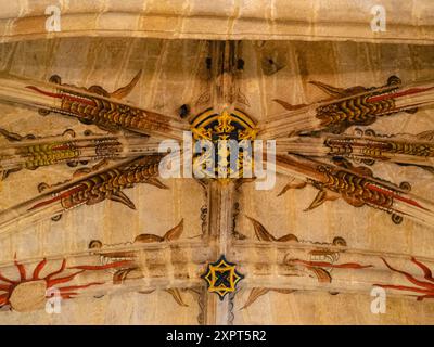 Dettaglio soffitto della Concattedrale di Santa Maria particolare, Caceres Foto Stock